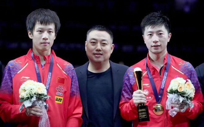 不仅推动了 不仅推动了