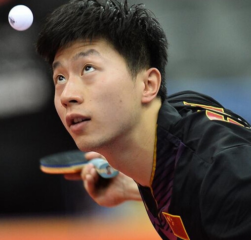 训练与轮换 训练与轮换